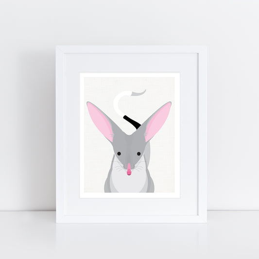 cute Australian native animal bilby print with big ears in frame