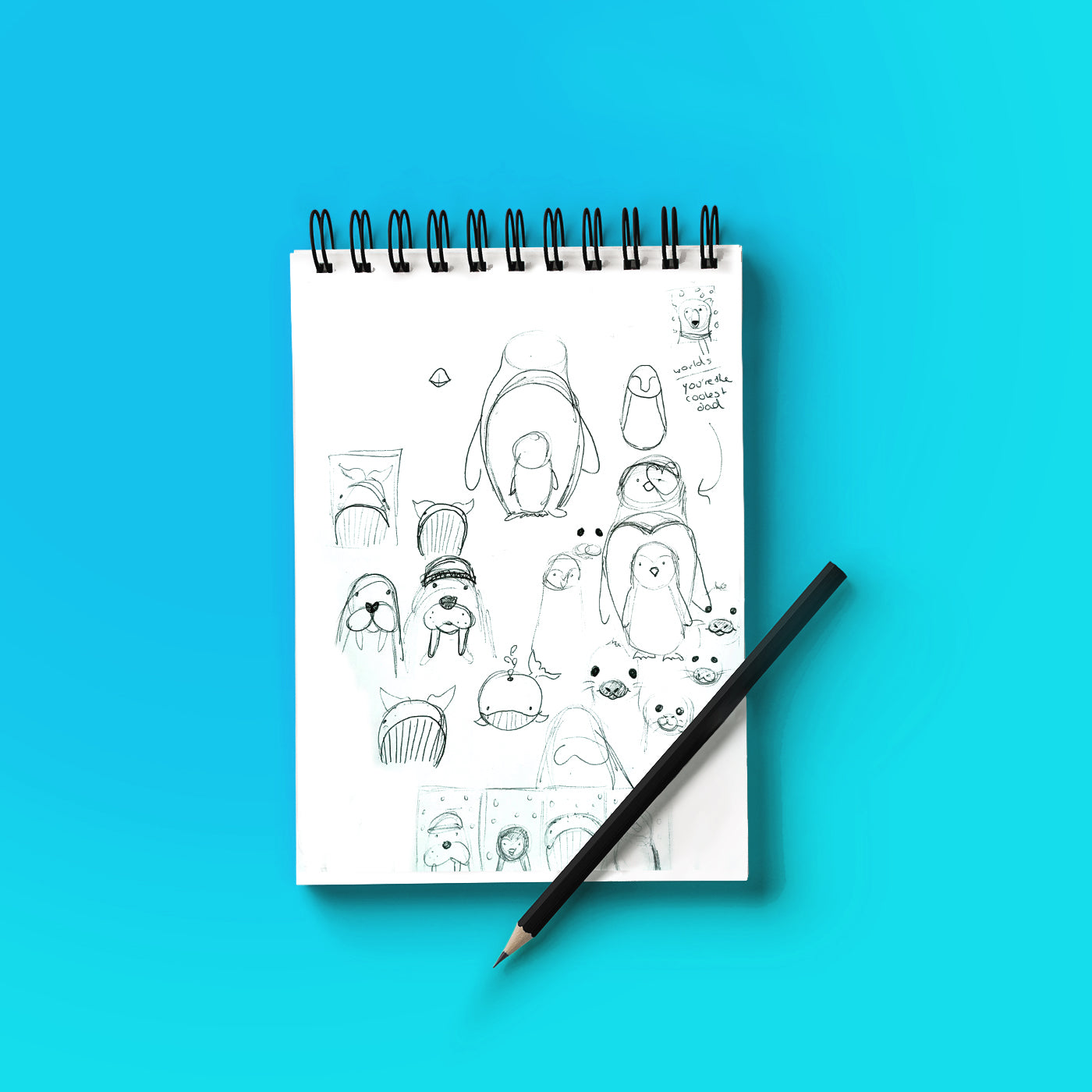 sketch book of seals whales walrus on blue background