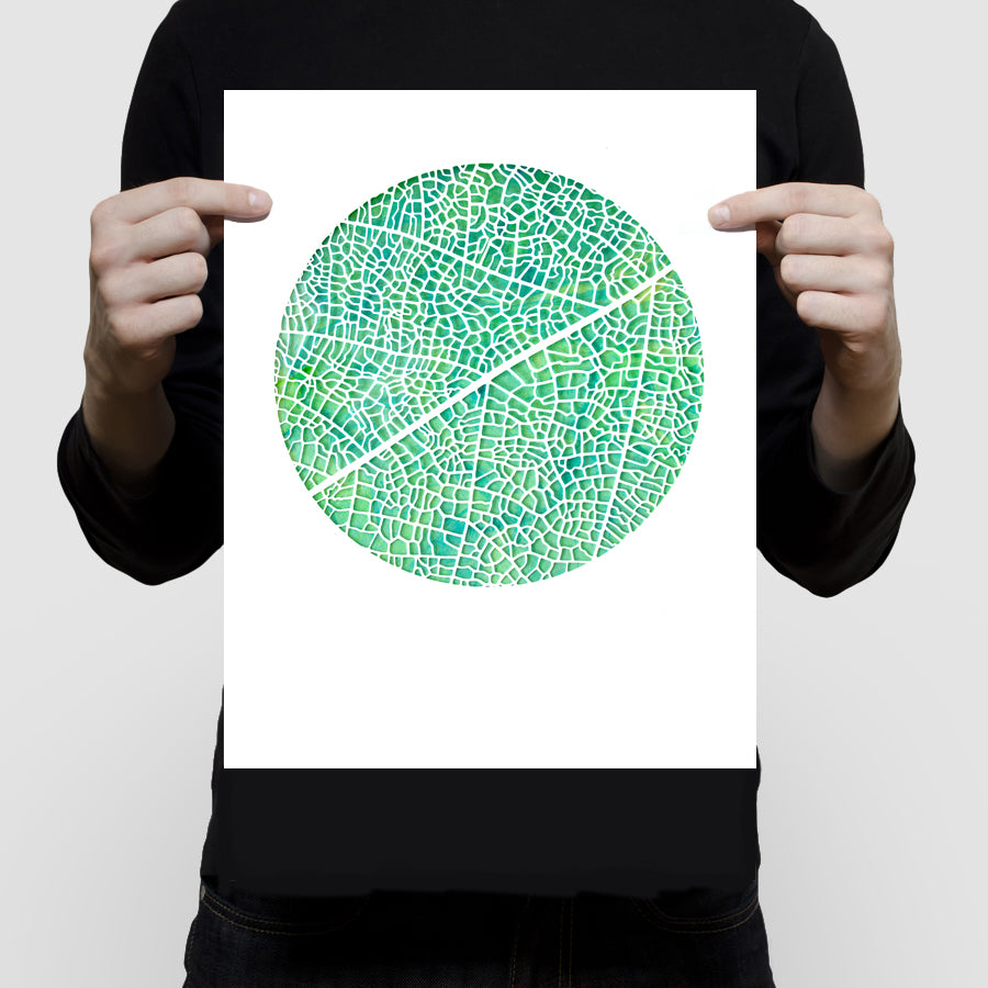 Reticulate limited edition print