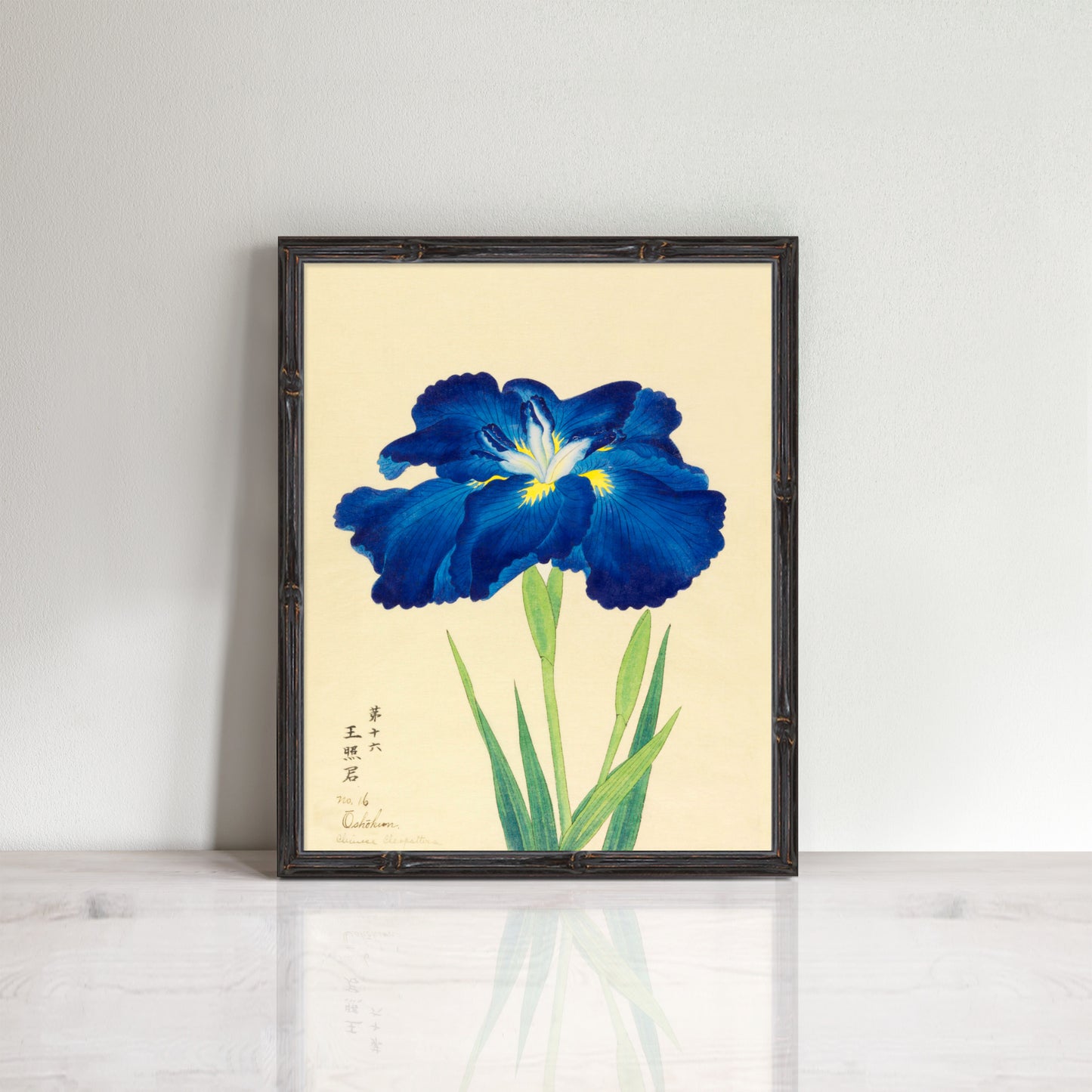 Vintage Japanese iris flower prints