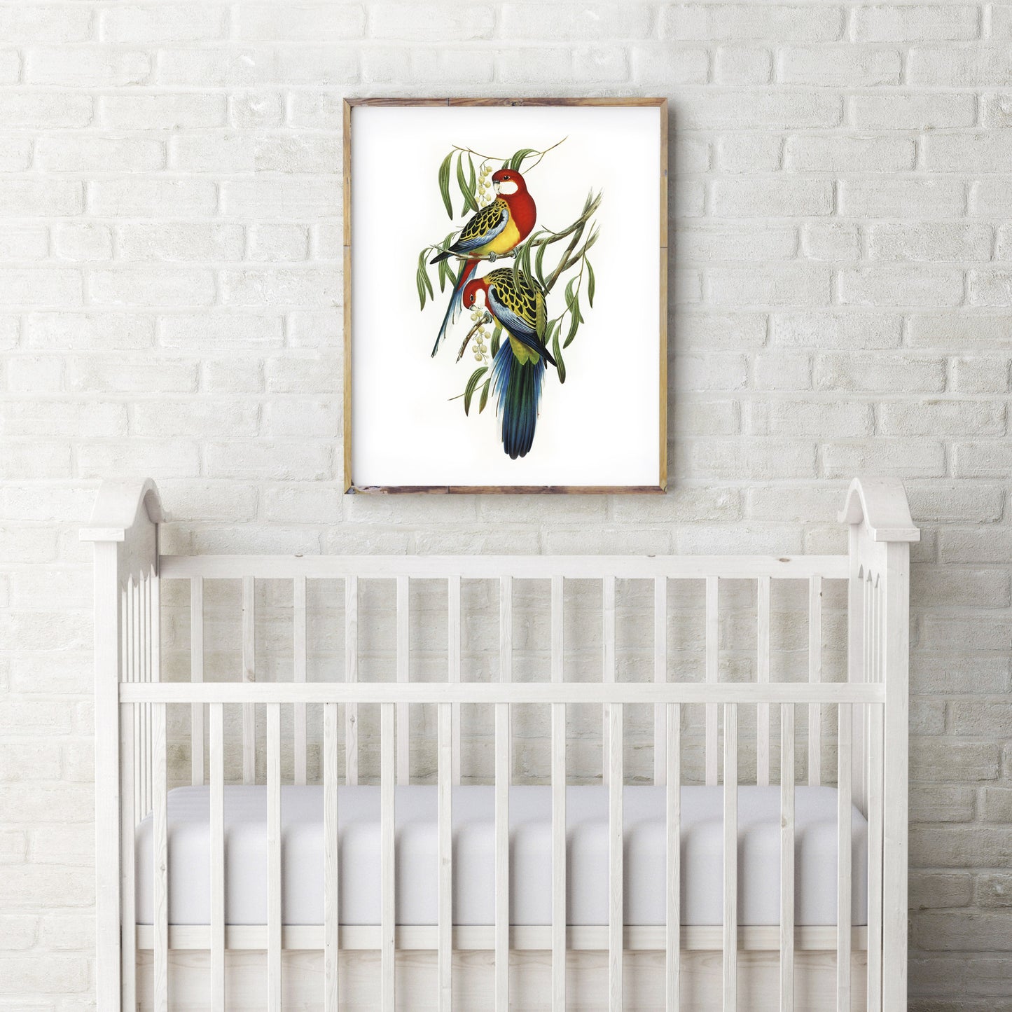 Vintage Eastern Rosellas print