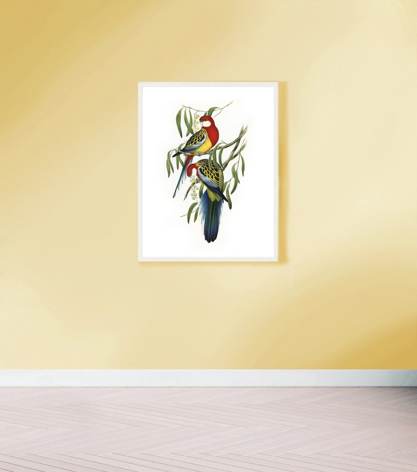 Vintage Eastern Rosellas print
