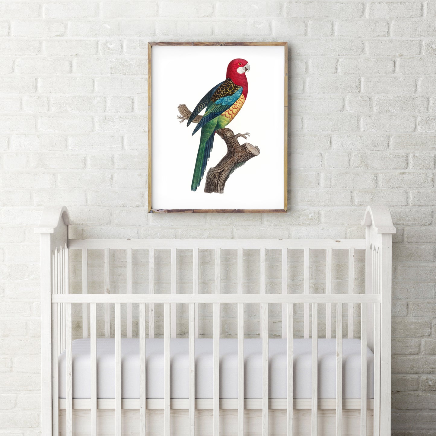 Vintage Eastern Rosella print