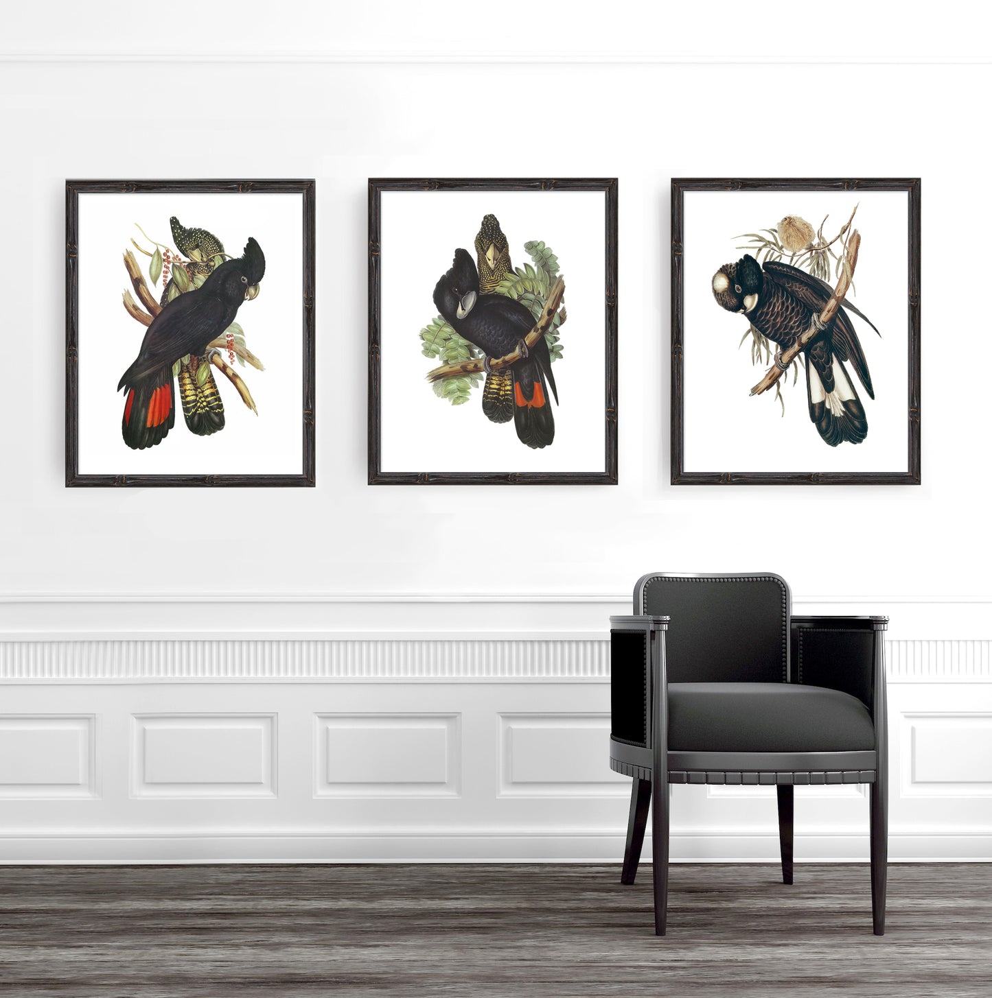 Vintage black cockatoos 2 print