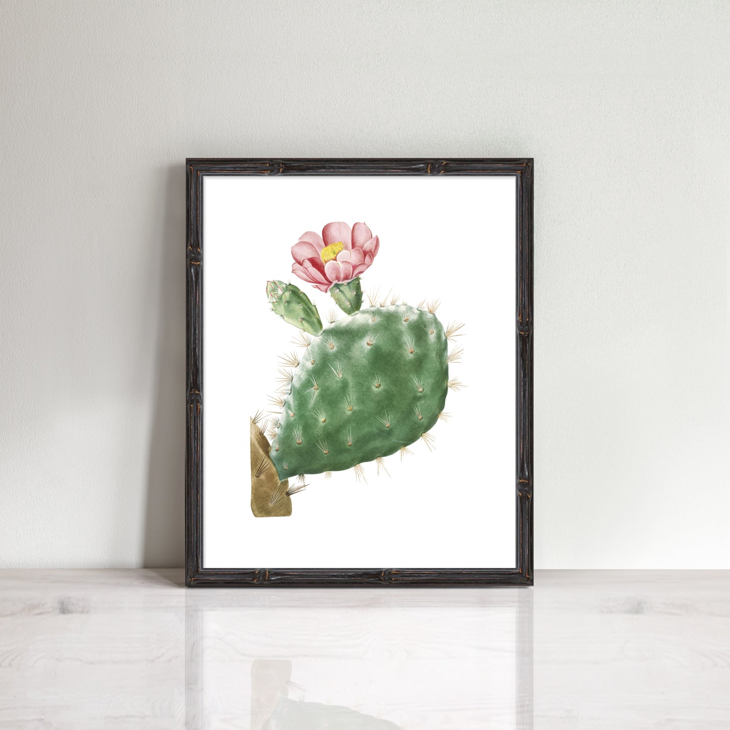 vintage pink flowering cactus print