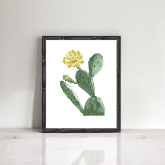 Vintage yellow flowering cactus print