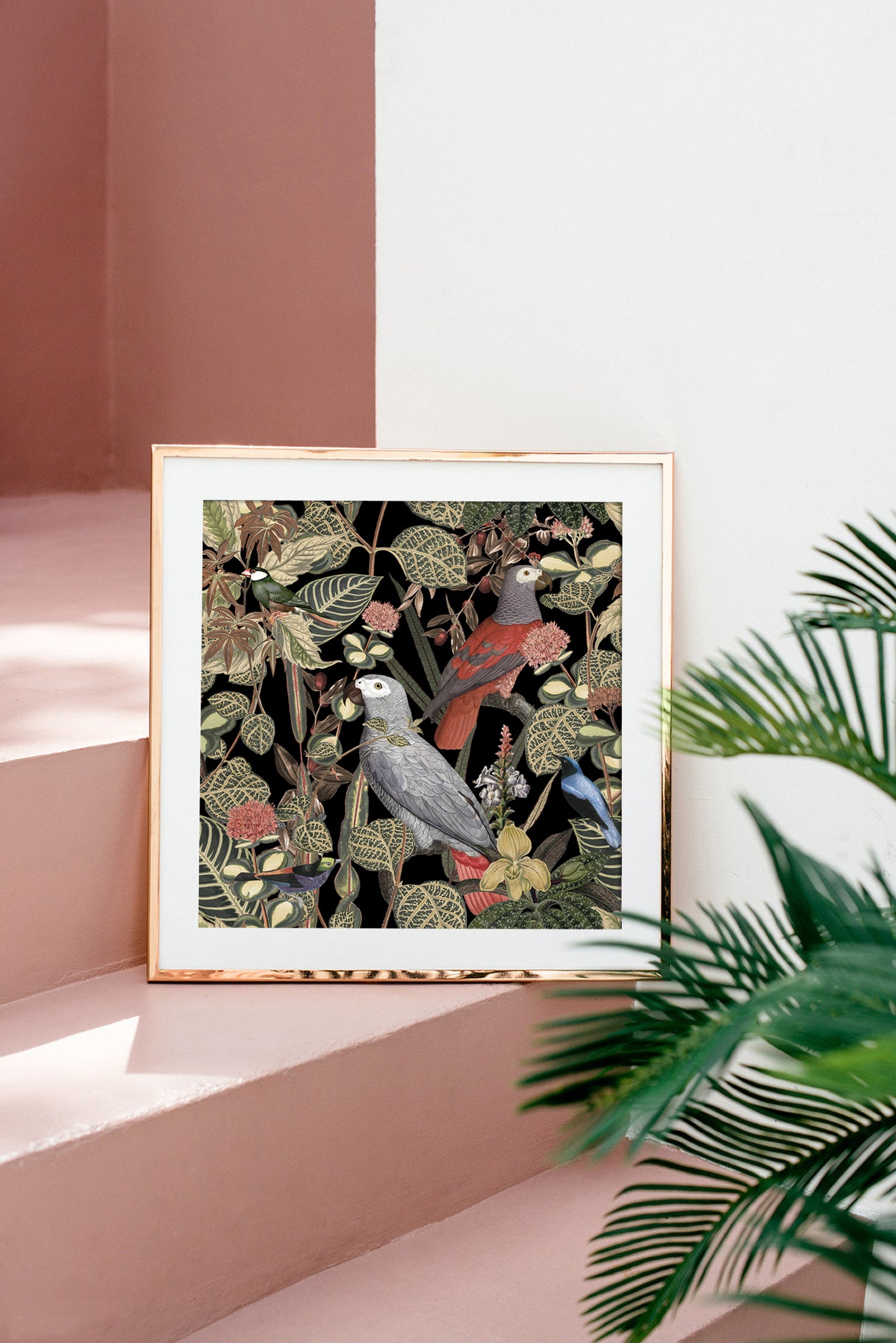 Vintage African grey parrots print