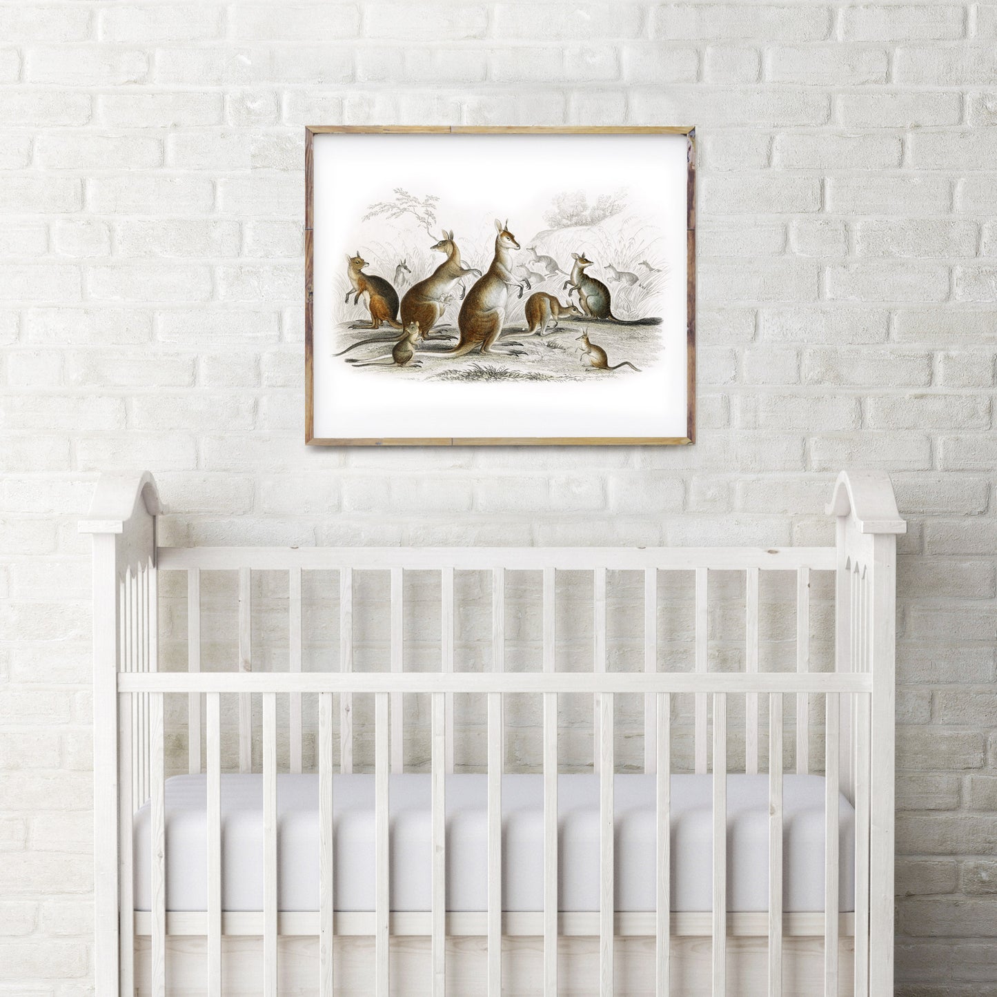 vintage kangaroo print in a nursery