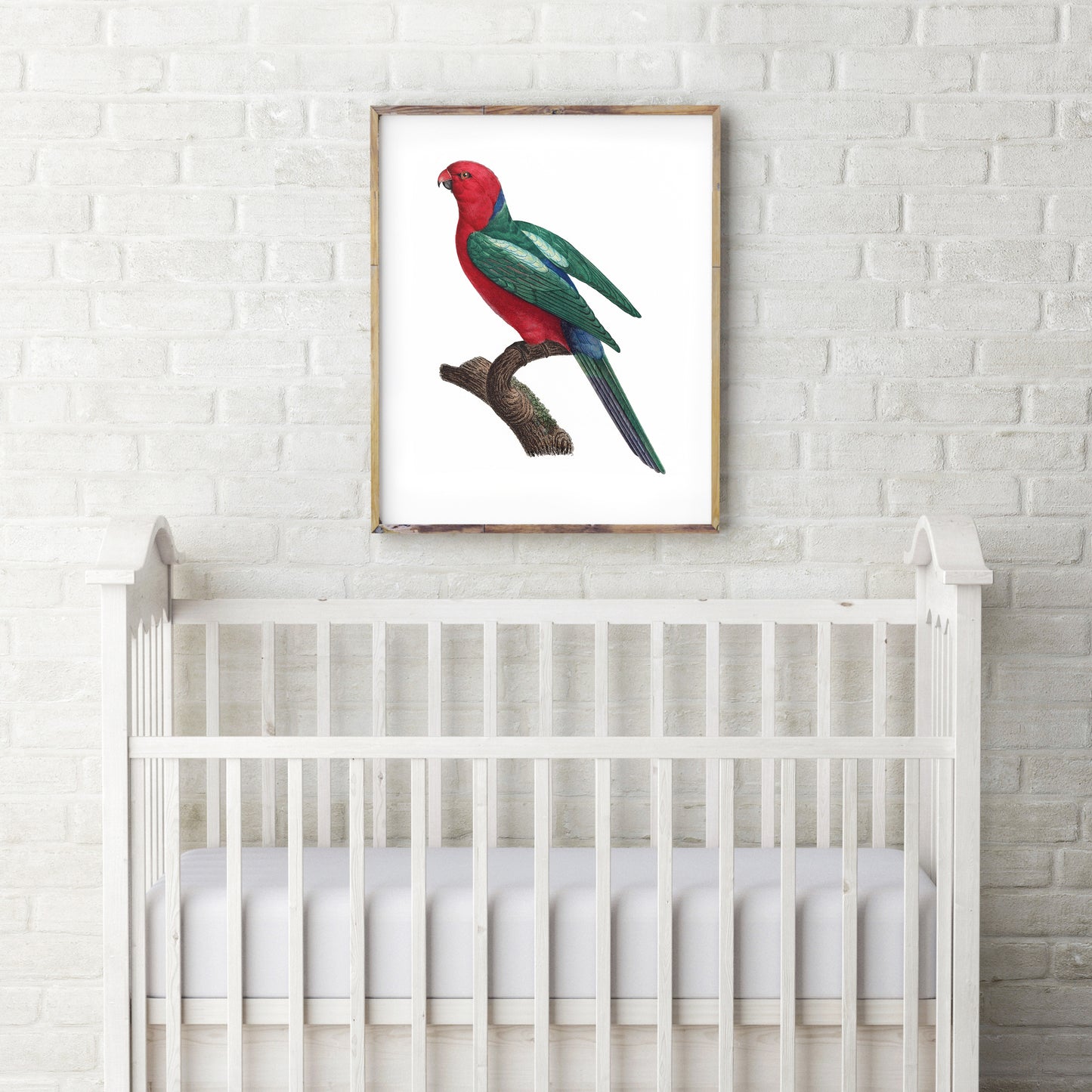 Vintage King parrot print