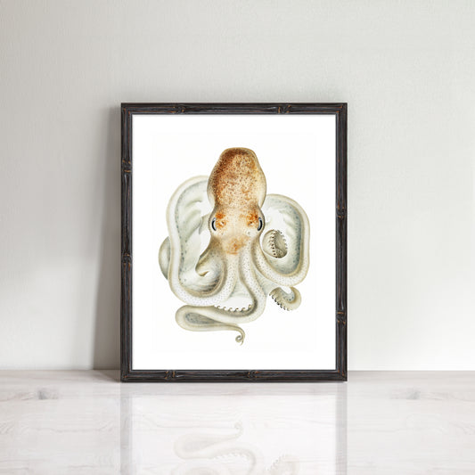 vintage octopus print