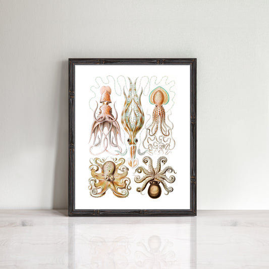 Vintage octopuses print
