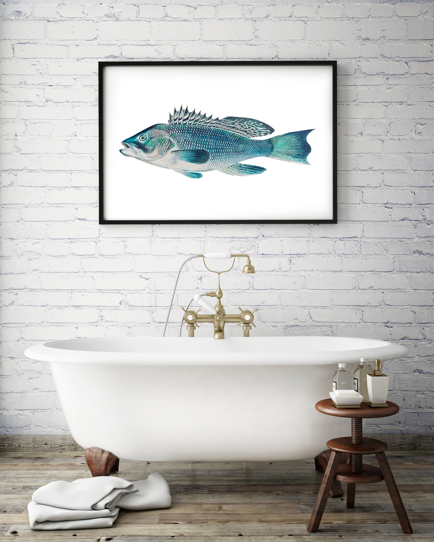 Vintage sea bass fish print