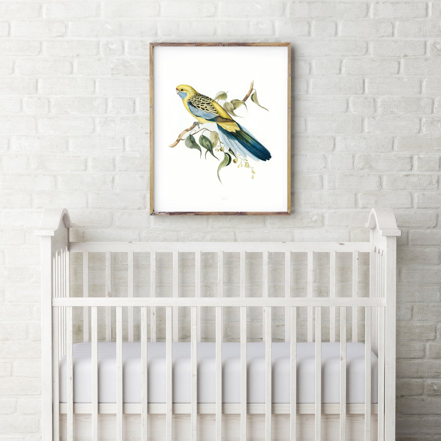 Vintage Yellow Rosella print