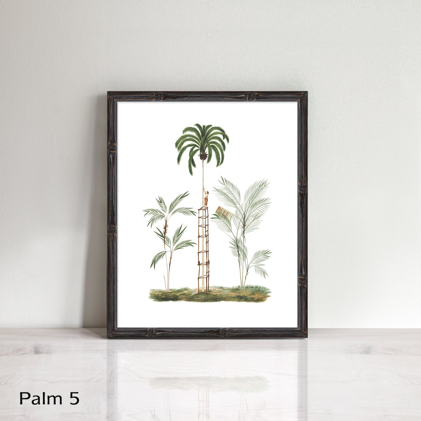 Vintage palm tree prints