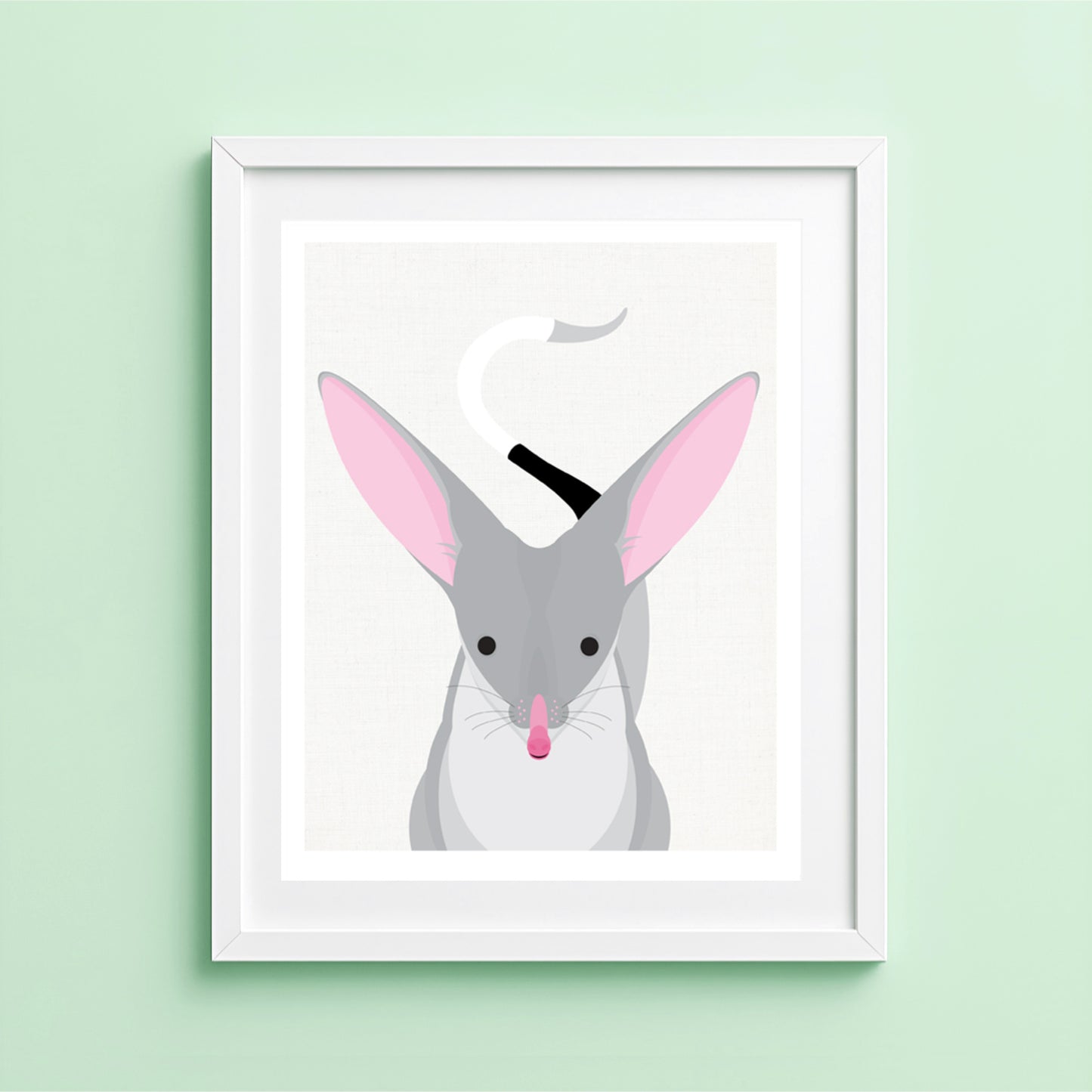 Illlustration of a gray bilby with pink ears on a light green background