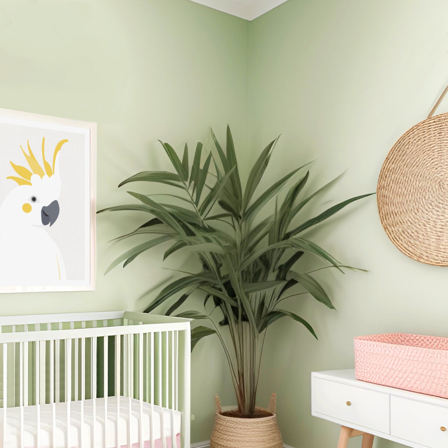 Australian themed nursery with soft green and cockatoo print