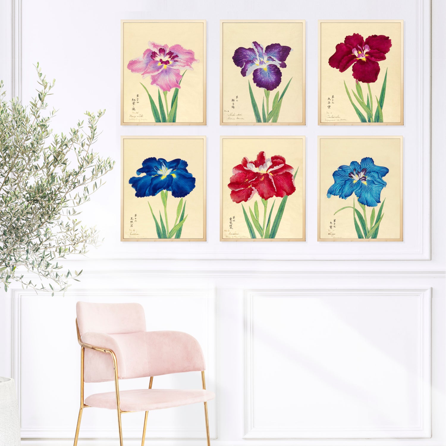 A gallery wall display of six vintage iris flower prints. Each artwork features a uniquely coloured iris, including pink, purple, red, blue, and burgundy blooms, with green leaves and delicate calligraphy on an aged cream background. 