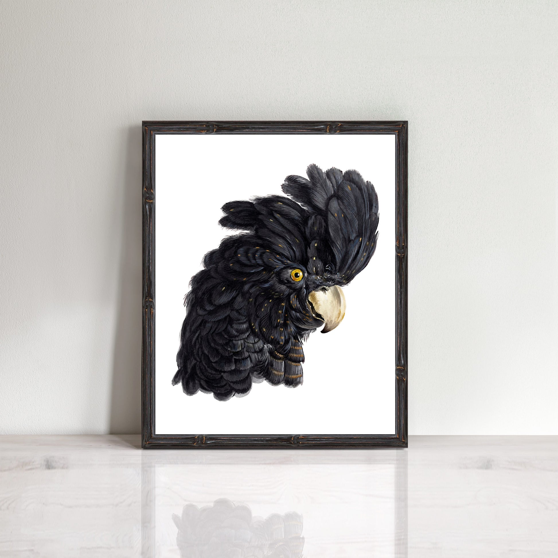 black cockatoo head vintage bird illustration 