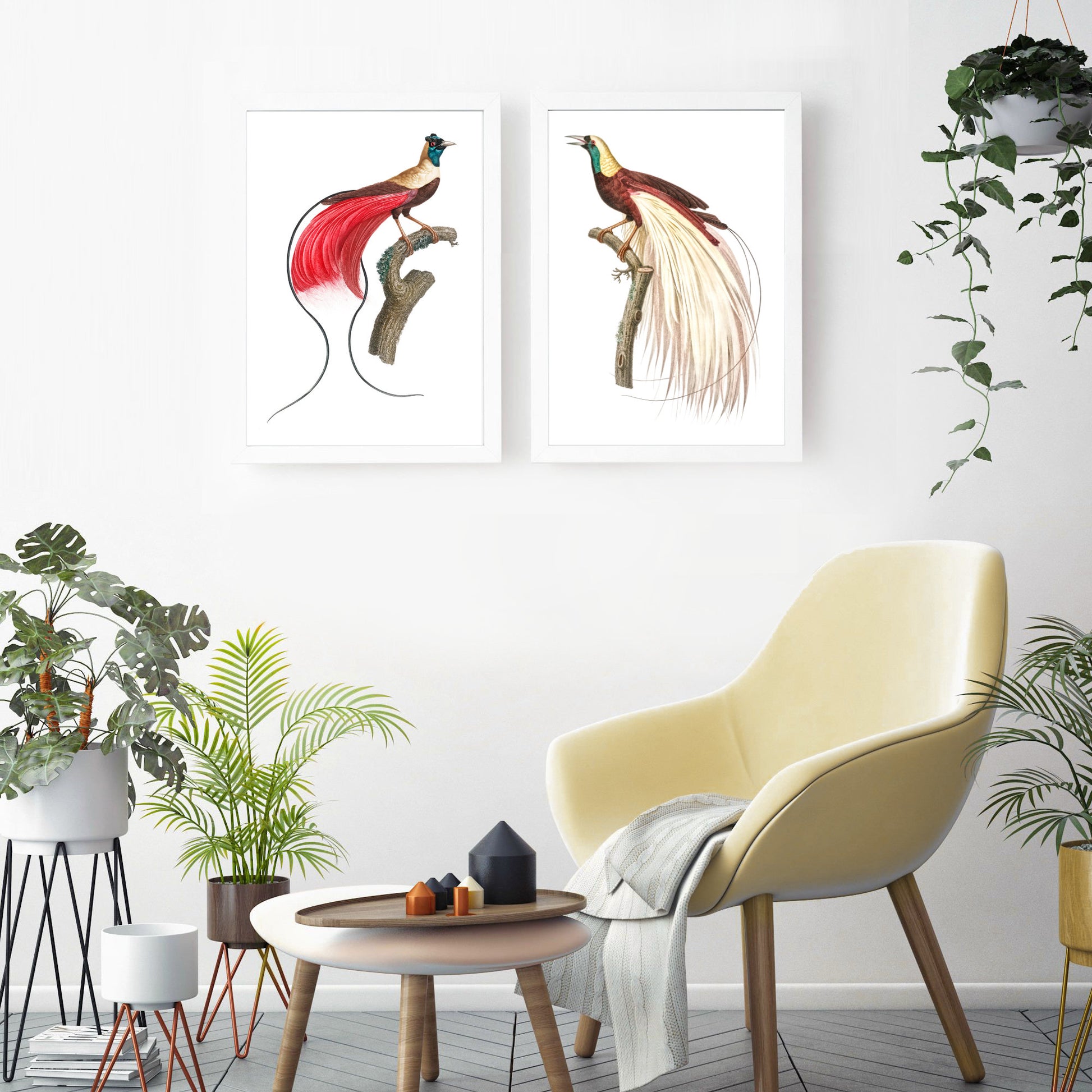 vintage birds of paradise art prints in a sunroom with yellow chair