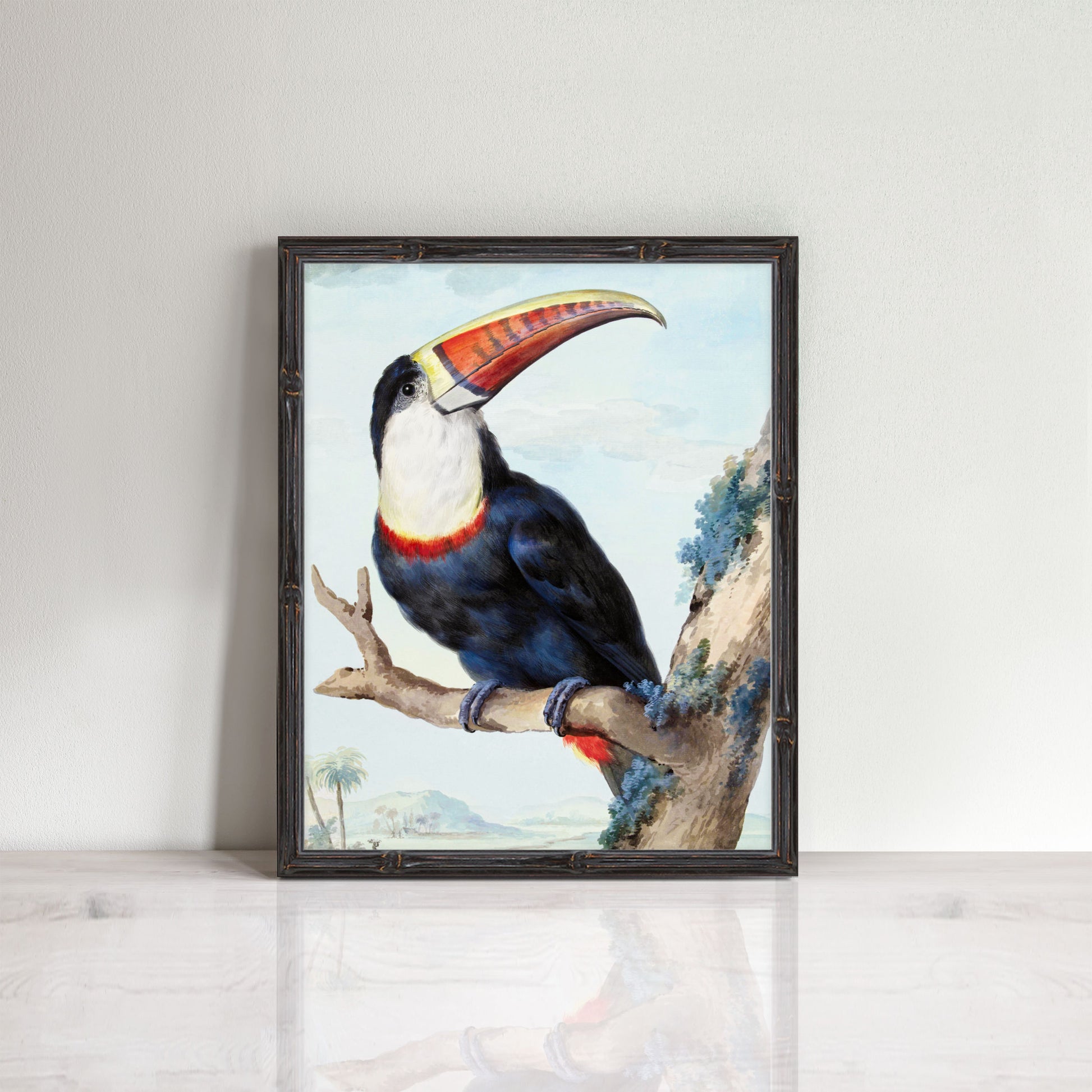 vintage red-billed toucan watercolour illustration in frame