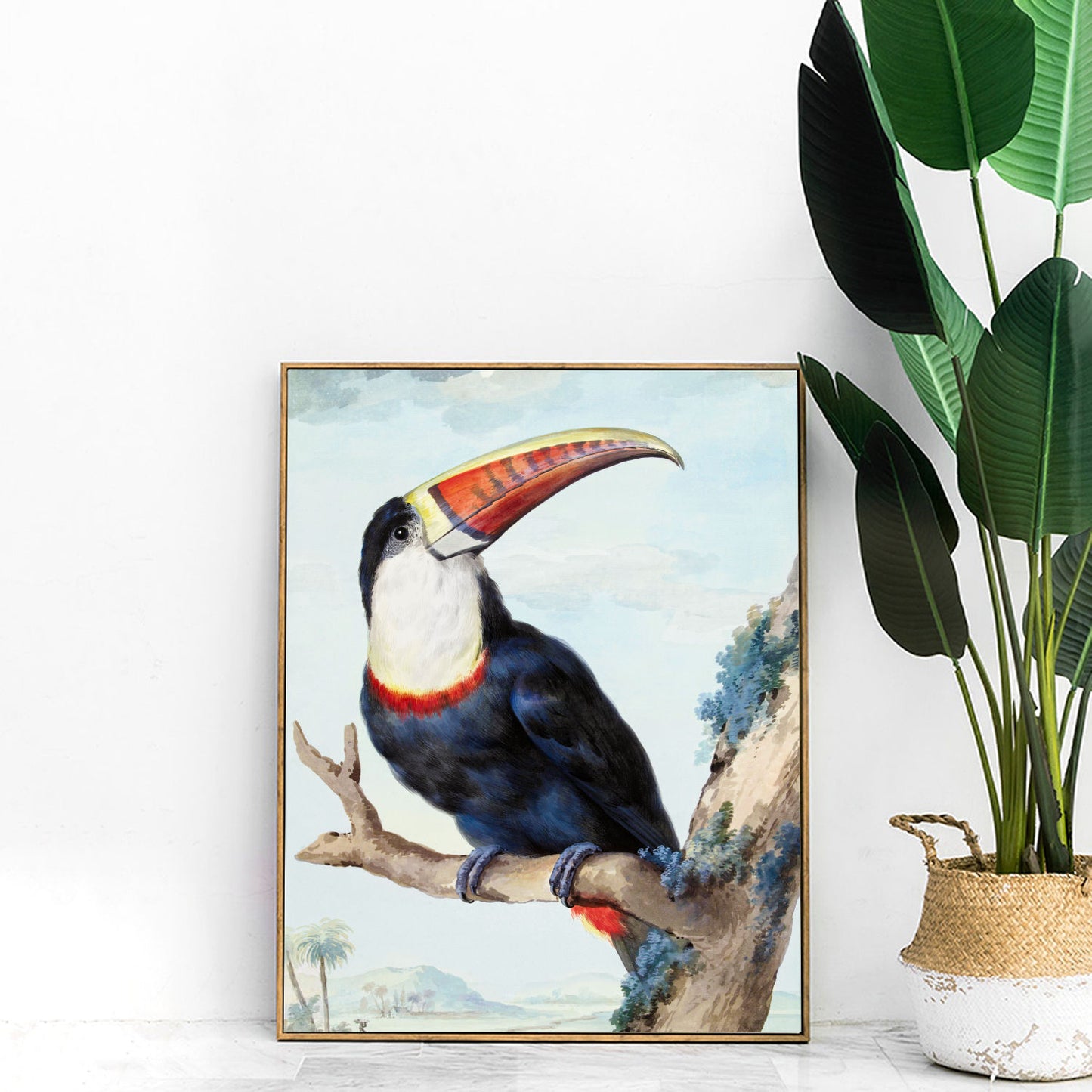 Vintage red-billed toucan print