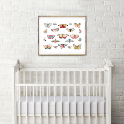 Vintage colourful butterflies print