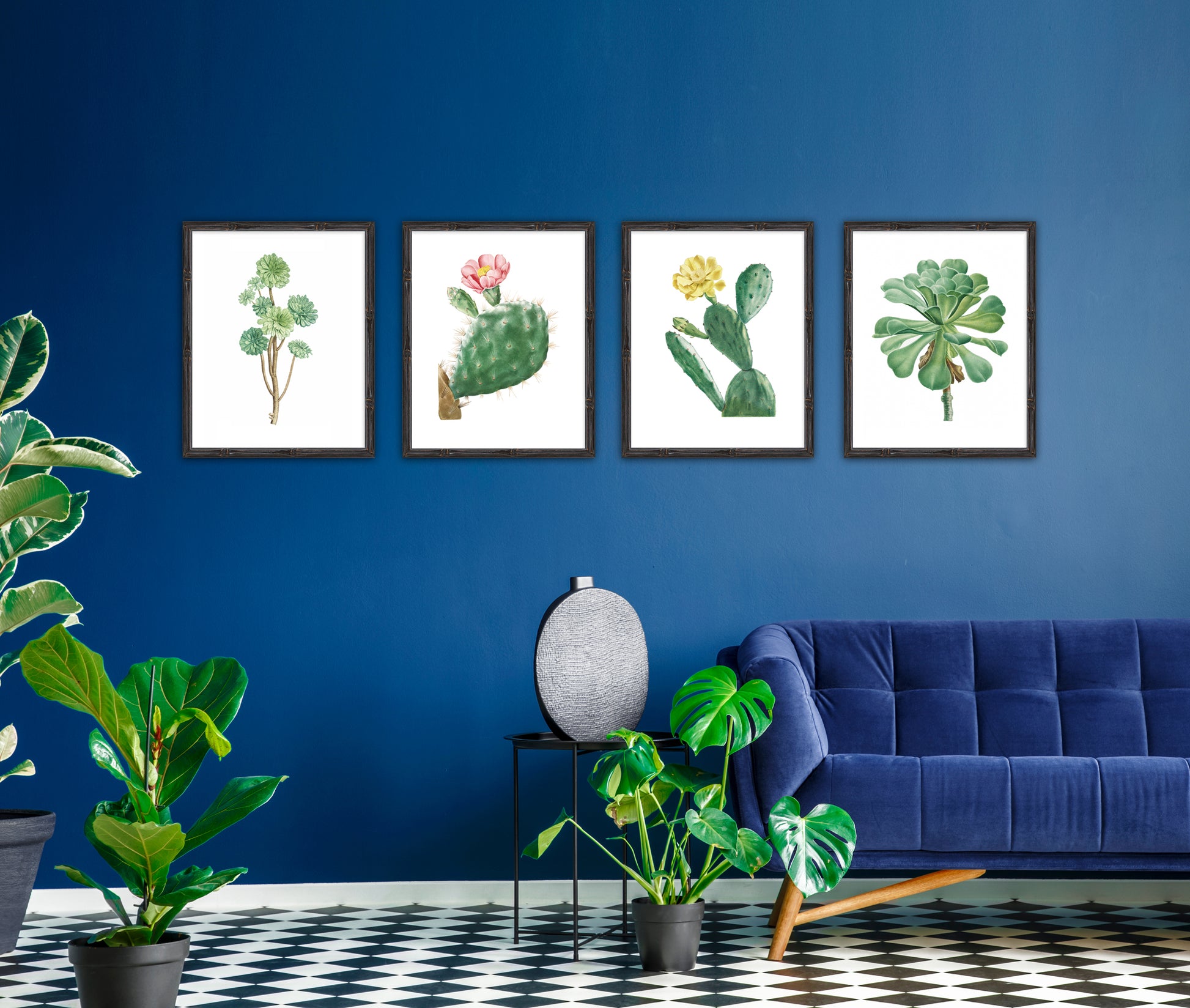 blue room with plants and prints of cactus and succulents