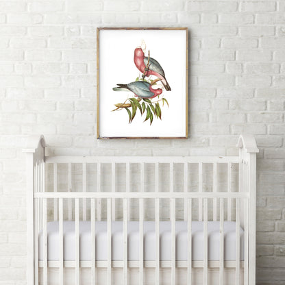 Vintage galahs print