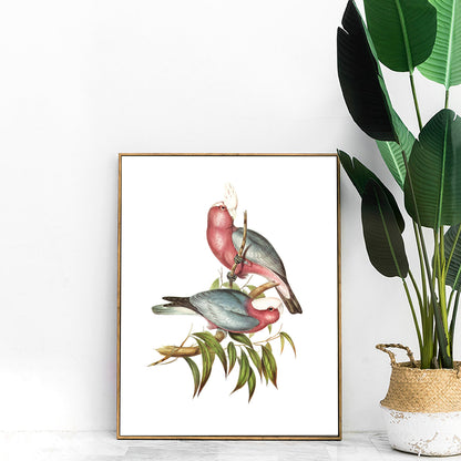 Vintage galahs print