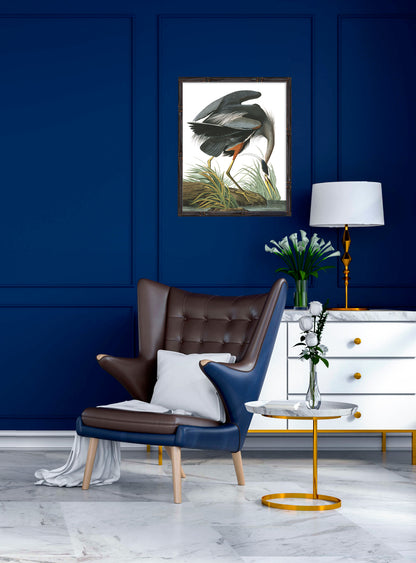 Vintage great blue heron print