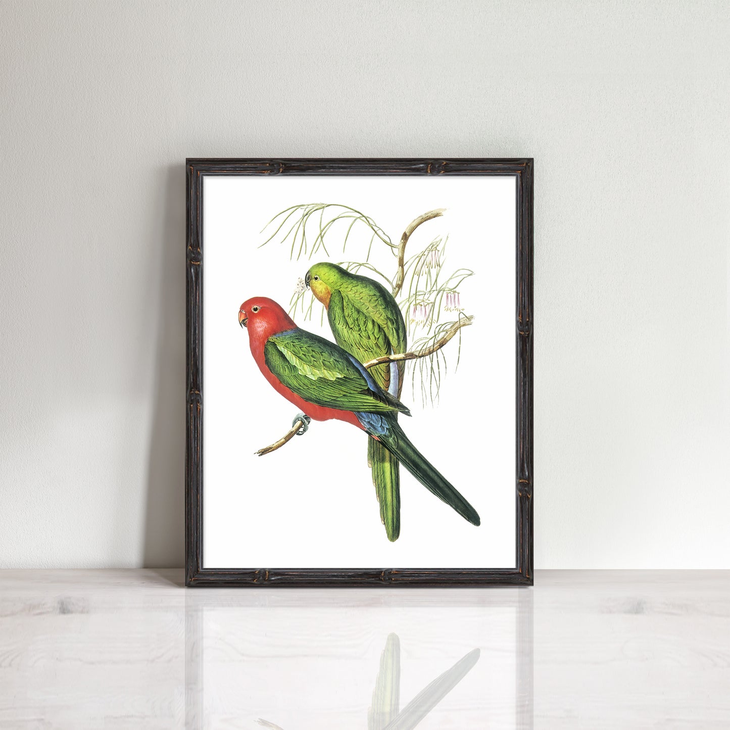 vintage King parrots print