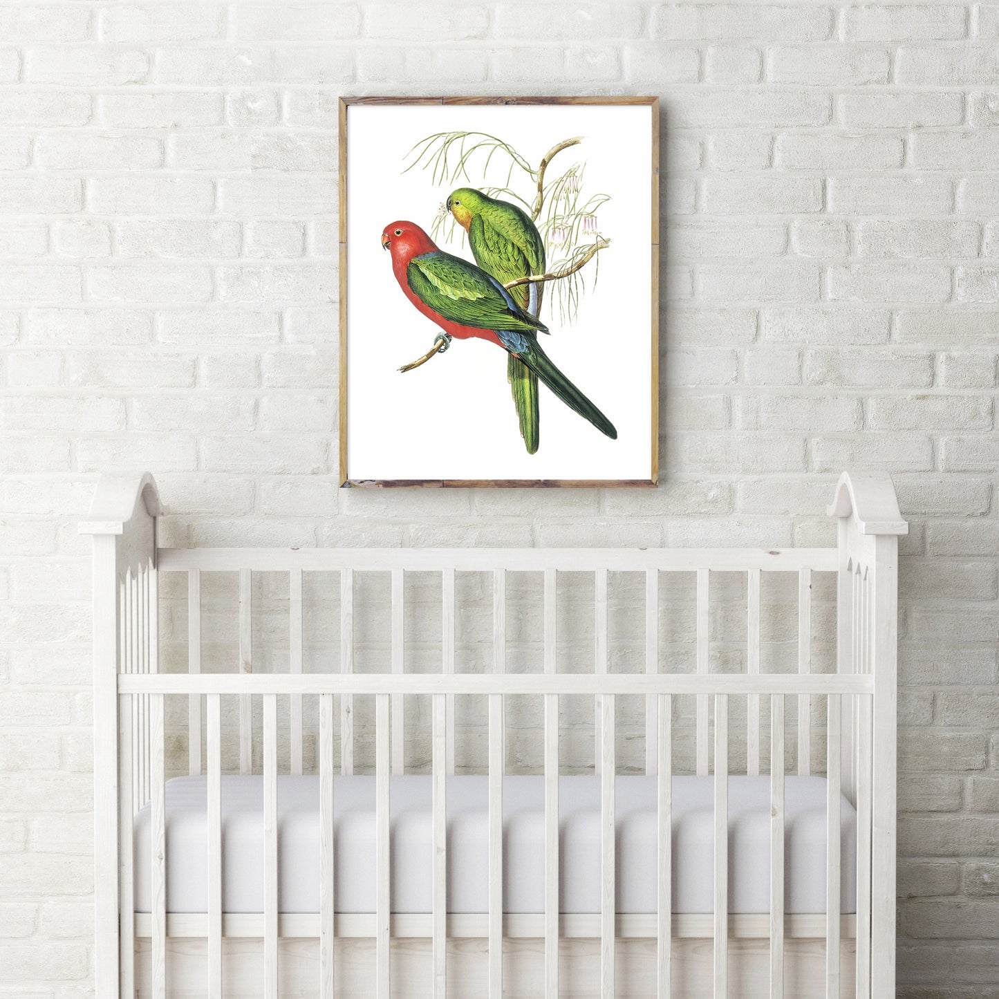Vintage king parrots print
