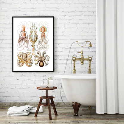 Vintage octopuses print