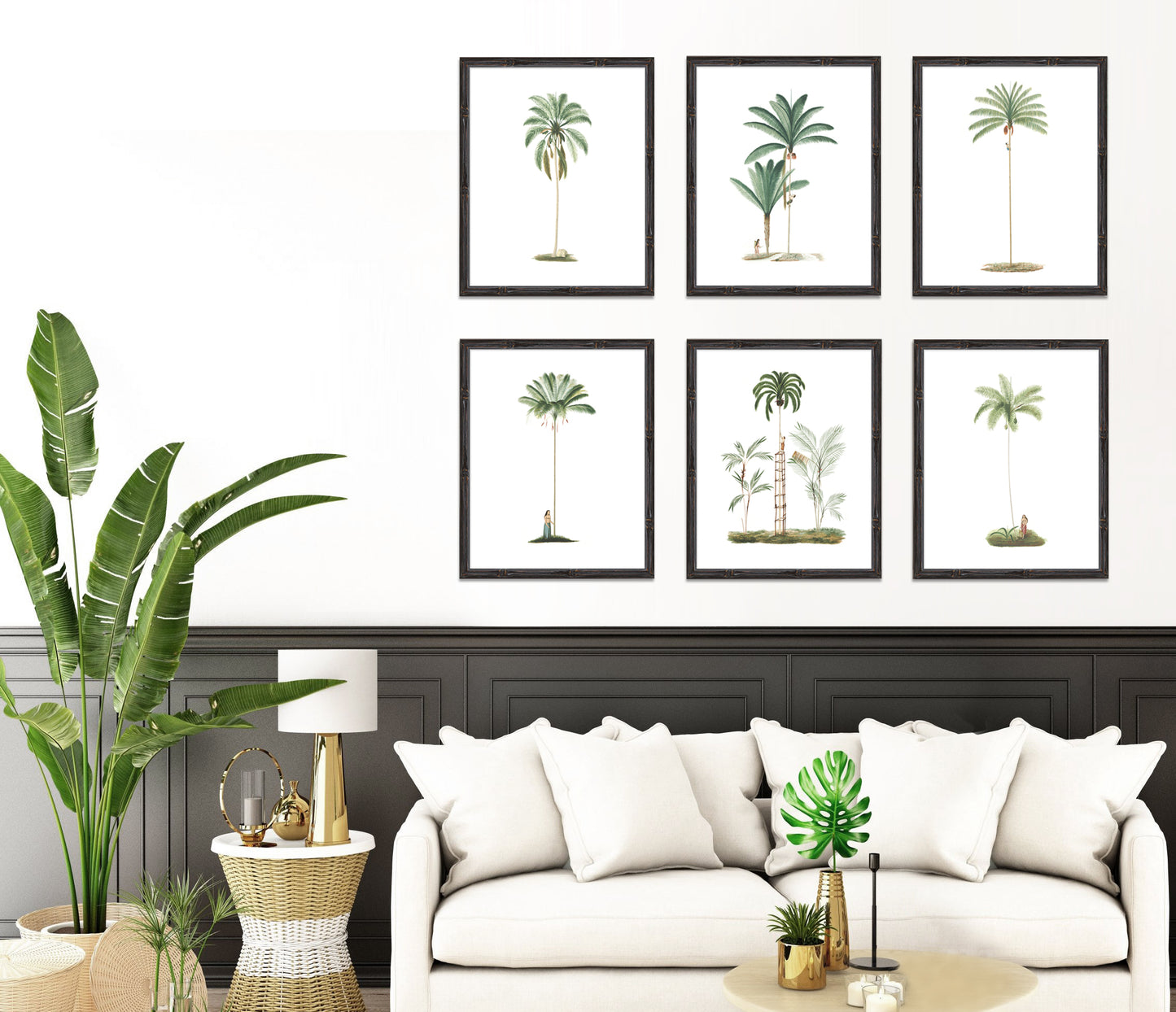 six vintage palm tree illustrations  in living room