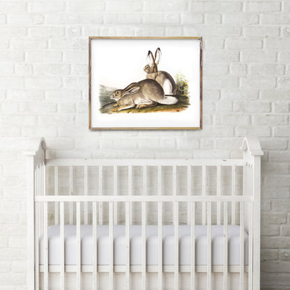 Vintage rabbits print