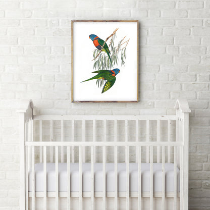 Vintage red collared lorikeets print