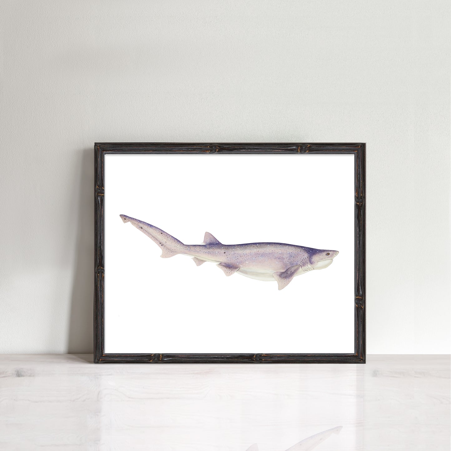 vintage Tiger shark print