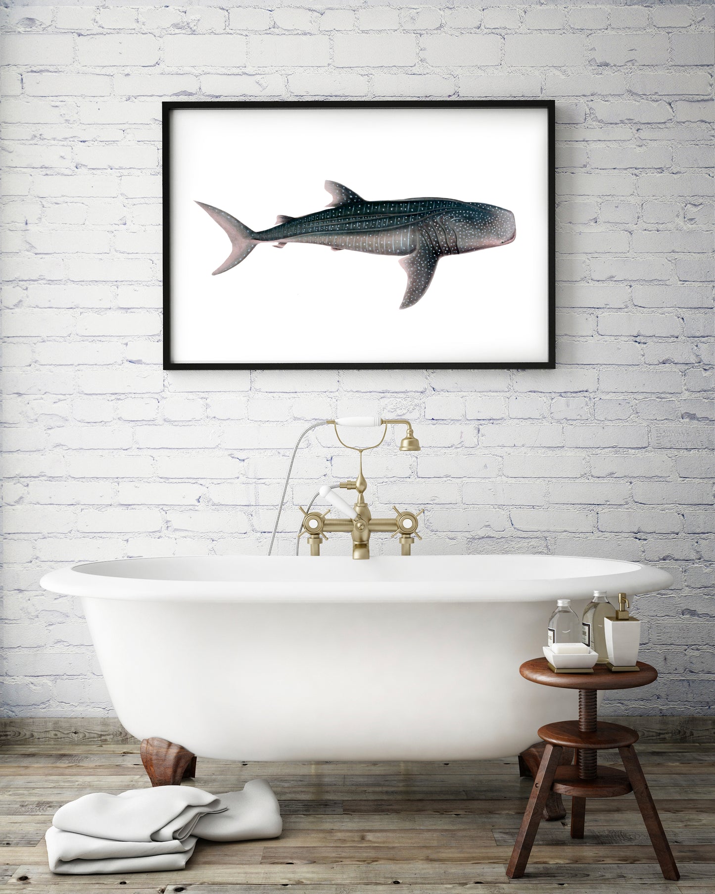 Vintage whale shark print