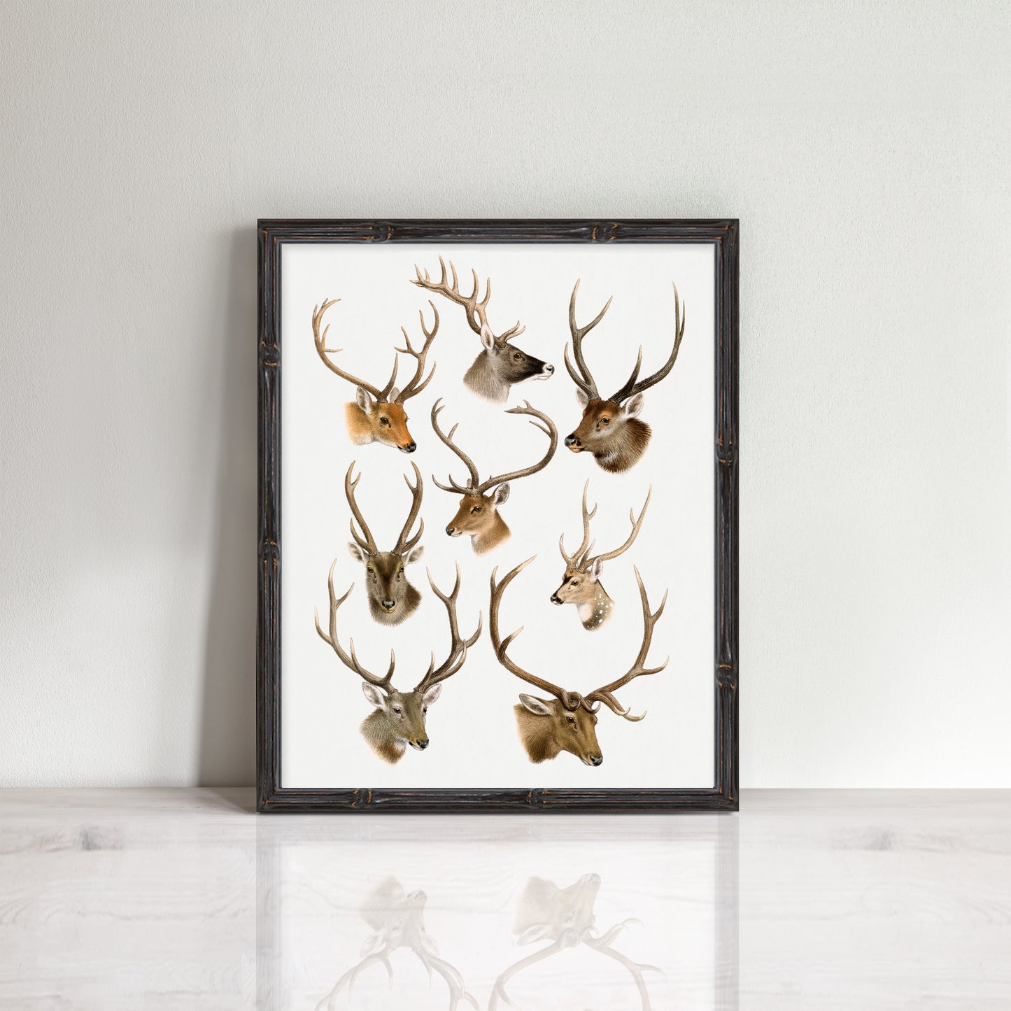 vintage deer head illustrations in a frame