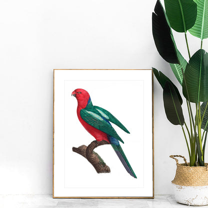 Vintage King parrot print