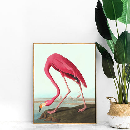 Vintage pink flamingo print