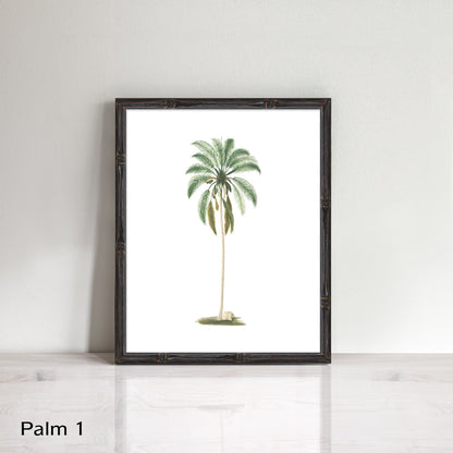 Vintage palm tree prints
