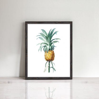 beautiful print of a vintage pineapple