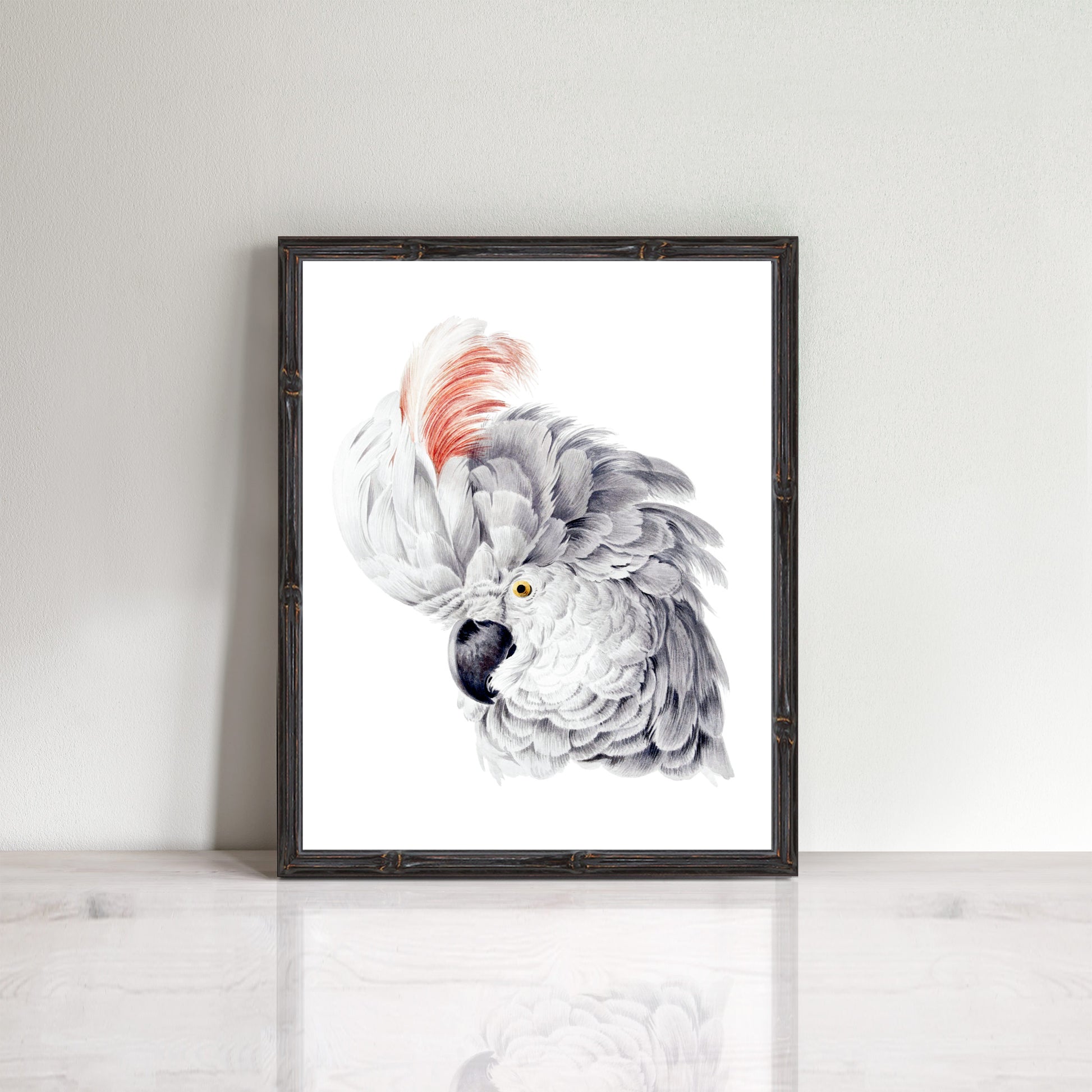 vintage cockatoo head print with ruffled feathers