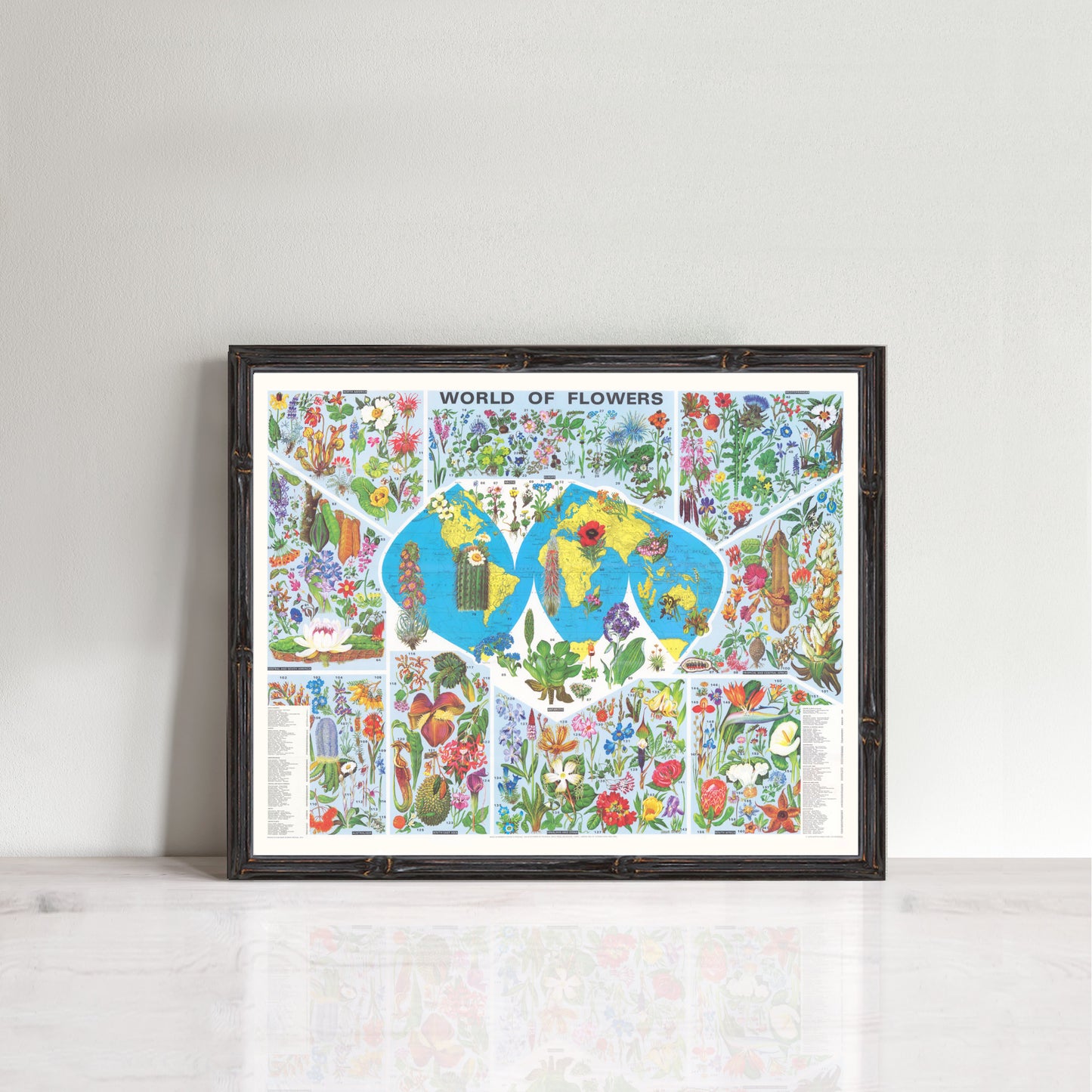 colourful vintage world map with colour illustrations and listing of flower types by continent.